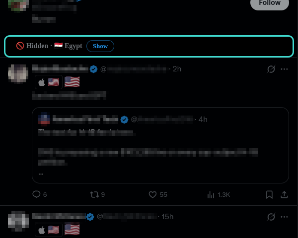 A timeline with a post folded away behind a “🚫 Hidden · Egypt” bar and a Show button